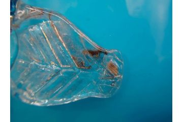 大正〜昭和初期　青/ピンク　紫陽花文様を引き立たせる色鮮やかな被せガラスが美しい花瓶(アジサイ、色被せ、吹きガラス、フリル、フラワーベース、花器、花入、花生、硝子)(R-078943)