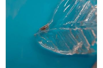 大正〜昭和初期　青/ピンク　被せガラス　紫陽花文様　まるで花びらのような縁に惹かれる花瓶(アジサイ、色被せ、吹きガラス、フリル、フラワーベース、花器、花入、花生、硝子)(R-078944)