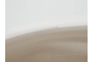 イギリス　WEDGWOOD(ウェッジウッド)　FLORENTINE TURQUOISE(フロレンティーン ターコイズ)　クラシックなデザインの気品あふれるチュリーン(グロテスク文様、フルーツ、果物、チューリン、スープボウル、ふかひれ皿、ポット、蓋付き、洋食器、英国)(R-079013)