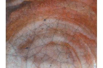 時代物　茶碗師 楽吉左衛門　鶴絵　約12cm　3.9寸　柔らかみと落ち着いた佇まいが魅力の赤茶碗(玄中、茶道具、茶陶、楽焼、裏印、共箱付き、和食器、三寸九分)(R-079017)　