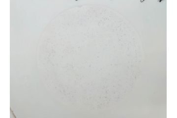 デンマーク　ROYAL COPENHAGEN(ロイヤルコペンハーゲン)　フローラダニカ　20/3508　瑞々しい花と金彩が美しいトライアングルディッシュ(三角プレート、フラワー、皿、洋食器、北欧)(R-079040)　
