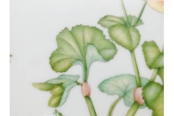 デンマーク　ROYAL COPENHAGEN(ロイヤルコペンハーゲン)　フローラダニカ　20/3566　細部まで繊細に描かれた花が上品なプレート(金彩、フラワー、ディッシュ、大皿、洋食器、北欧)(R-079041)　