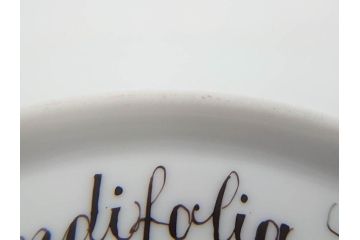 デンマーク　ROYAL COPENHAGEN(ロイヤルコペンハーゲン)　フローラダニカ　617　匠の美技に魅了されるプレート(花、フラワー、金彩、ケーキプレート、中皿、ディッシュ、洋食器、北欧)(R-079042)　