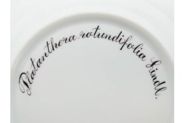 デンマーク　ROYAL COPENHAGEN(ロイヤルコペンハーゲン)　フローラダニカ　617　匠の美技に魅了されるプレート(花、フラワー、金彩、ケーキプレート、中皿、ディッシュ、洋食器、北欧)(R-079042)　