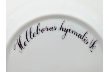 デンマーク　ROYAL COPENHAGEN(ロイヤルコペンハーゲン)　フローラダニカ　615　黄色い花が印象的で優雅なプレート(金彩、フラワー、ディッシュ、小皿、銘々皿、洋食器、北欧)(R-079043)