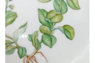 デンマーク　ROYAL COPENHAGEN(ロイヤルコペンハーゲン)　フローラダニカ　621　丹念に描かれた花のデザインが見事なプレート(フラワー、金彩、中皿、ディッシュ、ケーキプレート、洋食器、北欧)(R-079044)　