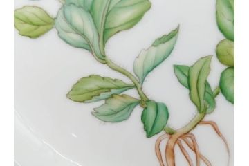 デンマーク　ROYAL COPENHAGEN(ロイヤルコペンハーゲン)　フローラダニカ　621　丹念に描かれた花のデザインが見事なプレート(フラワー、金彩、中皿、ディッシュ、ケーキプレート、洋食器、北欧)(R-079044)　