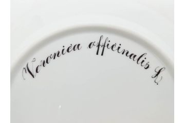 デンマーク　ROYAL COPENHAGEN(ロイヤルコペンハーゲン)　フローラダニカ　621　丹念に描かれた花のデザインが見事なプレート(フラワー、金彩、中皿、ディッシュ、ケーキプレート、洋食器、北欧)(R-079044)　