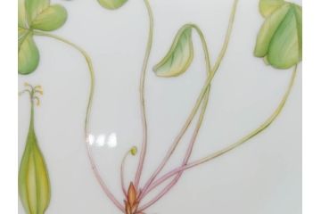 デンマーク　ROYAL COPENHAGEN(ロイヤルコペンハーゲン)　フローラダニカ　621　可憐な花のデザインが可愛らしいプレート(金彩、フラワー、ディッシュ、中皿、ケーキプレート、洋食器、北欧)(R-079045)