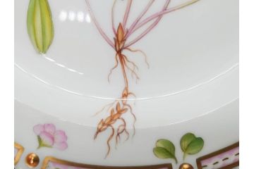 デンマーク　ROYAL COPENHAGEN(ロイヤルコペンハーゲン)　フローラダニカ　621　可憐な花のデザインが可愛らしいプレート(金彩、フラワー、ディッシュ、中皿、ケーキプレート、洋食器、北欧)(R-079045)