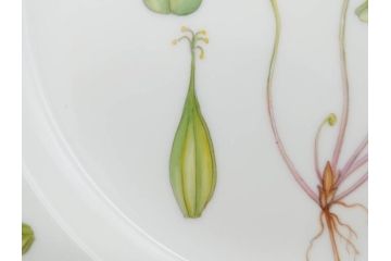 デンマーク　ROYAL COPENHAGEN(ロイヤルコペンハーゲン)　フローラダニカ　621　可憐な花のデザインが可愛らしいプレート(金彩、フラワー、ディッシュ、中皿、ケーキプレート、洋食器、北欧)(R-079045)