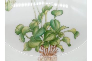 デンマーク　ROYAL COPENHAGEN(ロイヤルコペンハーゲン)　フローラダニカ　621　煌びやかな金彩と生き生きと描かれた花に見惚れるプレート(フラワー、ディッシュ、中皿、ケーキプレート、洋食器、北欧)(R-079046)