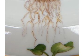 デンマーク　ROYAL COPENHAGEN(ロイヤルコペンハーゲン)　フローラダニカ　621　煌びやかな金彩と生き生きと描かれた花に見惚れるプレート(フラワー、ディッシュ、中皿、ケーキプレート、洋食器、北欧)(R-079046)