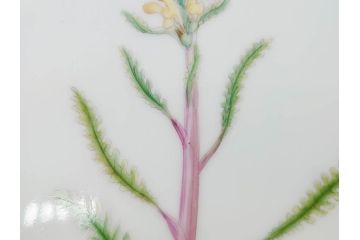 デンマーク　ROYAL COPENHAGEN(ロイヤルコペンハーゲン)　フローラダニカ　371　食卓が華やぐ優雅なオーバルプレート(金彩、フラワー、ディッシュ、中皿、洋食器、北欧)(R-079048)
