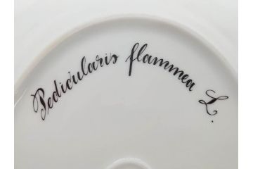 デンマーク　ROYAL COPENHAGEN(ロイヤルコペンハーゲン)　フローラダニカ　371　食卓が華やぐ優雅なオーバルプレート(金彩、フラワー、ディッシュ、中皿、洋食器、北欧)(R-079048)