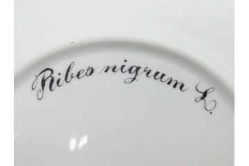 デンマーク　ROYAL COPENHAGEN(ロイヤルコペンハーゲン)　フローラダニカ　624　細部まで丁寧に色付された可愛らしいプレート(金彩、フラワー、ディッシュ、大皿、洋食器、北欧)(R-079049)