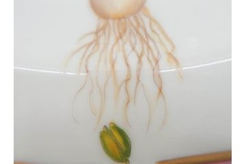 デンマーク　ROYAL COPENHAGEN(ロイヤルコペンハーゲン)　フローラダニカ　20/3549　食卓を鮮やかに彩るプレート(金彩、フラワー、ディッシュ、大皿、洋食器、北欧)(R-079050)