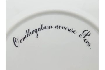 デンマーク　ROYAL COPENHAGEN(ロイヤルコペンハーゲン)　フローラダニカ　20/3549　食卓を鮮やかに彩るプレート(金彩、フラワー、ディッシュ、大皿、洋食器、北欧)(R-079050)