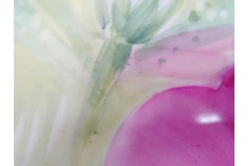 ドイツ　マイセン　Meissen　お部屋を華やかに彩る陶板画(プラーク、花、フラワー、ハンドペイント、西洋美術、額装、サイン有り)(R-079118)