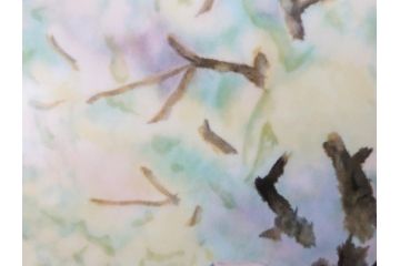 ノリタケ　NORITAKE　堂本印象　ふんわり優しい色彩が心を和ませる陶板画(プラーク、風景画、額装、陶器、サイン有り)(R-079119)
