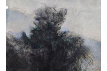 真作　1974年　サイタ亨　「草津天狗山 しゃくなげの咲く頃」　F6(6号)　絵画(鉛筆、水彩、DR.T.SAITA、サイン入り、落款印、肉筆、風景、花、山、額装)(R-079121)