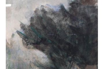 真作　1974年　サイタ亨　「草津天狗山 しゃくなげの咲く頃」　F6(6号)　絵画(鉛筆、水彩、DR.T.SAITA、サイン入り、落款印、肉筆、風景、花、山、額装)(R-079121)