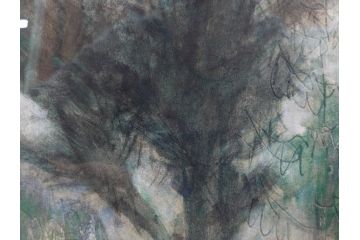 真作　1974年　サイタ亨　「草津天狗山 しゃくなげの咲く頃」　F6(6号)　絵画(鉛筆、水彩、DR.T.SAITA、サイン入り、落款印、肉筆、風景、花、山、額装)(R-079121)