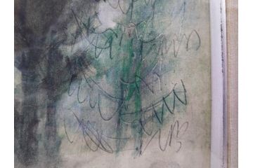 真作　1974年　サイタ亨　「草津天狗山 しゃくなげの咲く頃」　F6(6号)　絵画(鉛筆、水彩、DR.T.SAITA、サイン入り、落款印、肉筆、風景、花、山、額装)(R-079121)