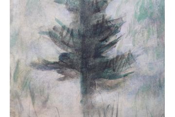 真作　1974年　サイタ亨　「草津天狗山 しゃくなげの咲く頃」　F6(6号)　絵画(鉛筆、水彩、DR.T.SAITA、サイン入り、落款印、肉筆、風景、花、山、額装)(R-079121)