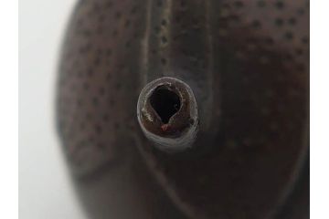 時代物　古銅　銀象嵌　独創的なデザインが魅力の水滴(在銘、書道具、中国?、中国美術、唐物?、果物、裏印)(R-079169)