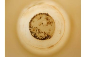 昭和期　当時物　戦中　水筒1点・ガラスコップ1点・徳利4点・猪口1点の合計7点セット(九谷焼、金彩、色絵、旧日本軍、陸軍、海軍、日章旗、支那事変記念、武勇、萬歳、万歳、誉、肉弾、大海中山酒造店、菊、桜、グラス、酒器、とっくり、おちょこ、ぐい呑み、杯、盃、和食器、陶器、硝子)(R-079176)