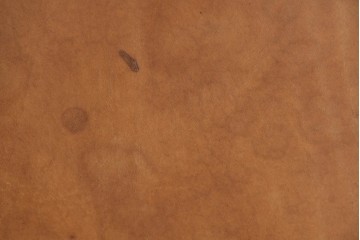 アメリカビンテージ　LAVERNE INTERNATIONAL社　3LCモデル　Tチェア　本革(レザー)　置いてあるだけで絵になるラウンジチェア　(R-079278)