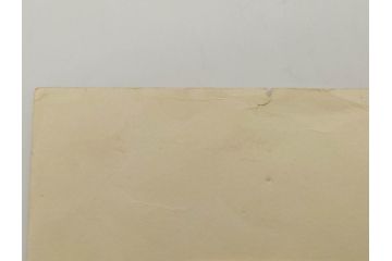 真作　月岡芳年　芳年略画 「鍾馗之夜這」　版画(絵画、木版画、多色摺り、神、道教、鬼、鯉のぼり)(R-079285)