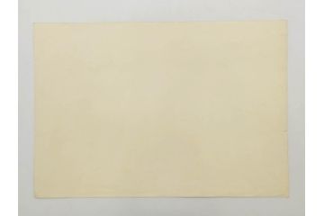 真作　月岡芳年　芳年略画 「鍾馗之夜這」　版画(絵画、木版画、多色摺り、神、道教、鬼、鯉のぼり)(R-079285)