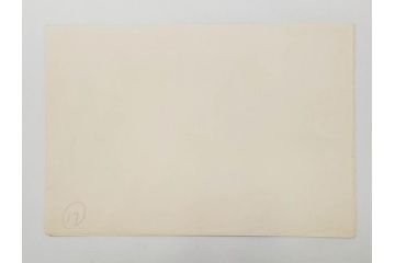 真作　月岡芳年　芳年略画 「鍾馗之夜這」　版画(絵画、木版画、多色摺り、神、道教、鬼、鯉のぼり)(R-079285)