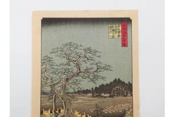 浮世絵師 歌川広重　東海道五拾三次之内 「庄野白雨」　名所江戸百景 「廓中東雲」「亀戸梅屋舗」「隅田川水神の森真崎」「上野清水堂不忍池」「亀戸天神境内」「増上寺塔赤羽根」「王子装束ゑの木大晦日の狐火」「真乳山山谷堀夜景」　版画9枚セット(絵画、木版画、多色摺り、浮世絵、人物、風景、鳥、花、藤、桜、雨、雪、寺社仏閣、橋)(R-079287)