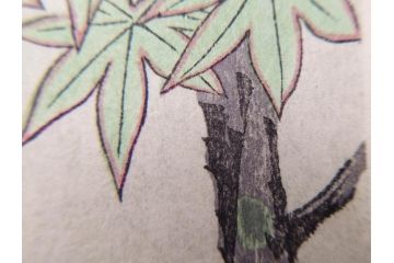神保朋世　版画(絵画、木版画、多色摺り、美人画、着物、女性、落款)(R-079289)
