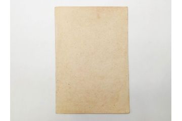 真作　明治30年　宮川春汀　子供風俗　版画9枚セット(木版画、錦絵、浮世絵、絵画、多色摺り、かずひろい、盲案内競争、おにごっこ、影絵遊び、かげえあそび、うをつり、かくれんぼう、動物園、たるみこし、さつき人形、五月人形)(R-079300)