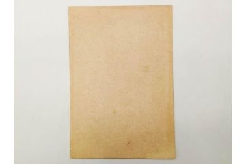 真作　明治30年　宮川春汀　子供風俗　版画9枚セット(木版画、錦絵、浮世絵、絵画、多色摺り、かずひろい、盲案内競争、おにごっこ、影絵遊び、かげえあそび、うをつり、かくれんぼう、動物園、たるみこし、さつき人形、五月人形)(R-079300)