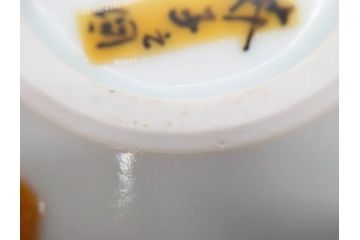 人間国宝 藤本能道　色絵　芥子之図　2.9寸　緻密に描かれた芥子の花が味わい深い蓋物(金彩、蓋付き器、裏印、蓋物、小物入れ、香合、調味料入れ、菓子鉢、茶壷、シュガーポット、共布付き、共箱付き、和食器、陶器、二寸九分)(R-079303)　
