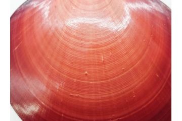 高木玉栄　荒磯　月日貝　上品な蒔絵とデザイン性に心惹かれる香合(シェル、鯛、魚、波紋、香道具、茶道具、蒔絵、木製、漆器、小物入れ、鵬雲斎書付き、共箱付き)(R-079308)