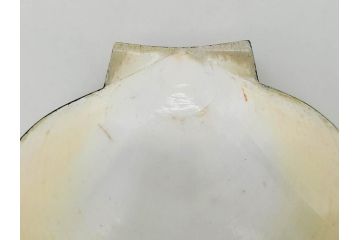 高木玉栄　荒磯　月日貝　上品な蒔絵とデザイン性に心惹かれる香合(シェル、鯛、魚、波紋、香道具、茶道具、蒔絵、木製、漆器、小物入れ、鵬雲斎書付き、共箱付き)(R-079308)
