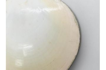 高木玉栄　荒磯　月日貝　上品な蒔絵とデザイン性に心惹かれる香合(シェル、鯛、魚、波紋、香道具、茶道具、蒔絵、木製、漆器、小物入れ、鵬雲斎書付き、共箱付き)(R-079308)