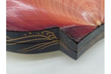 高木玉栄　荒磯　月日貝　上品な蒔絵とデザイン性に心惹かれる香合(シェル、鯛、魚、波紋、香道具、茶道具、蒔絵、木製、漆器、小物入れ、鵬雲斎書付き、共箱付き)(R-079308)