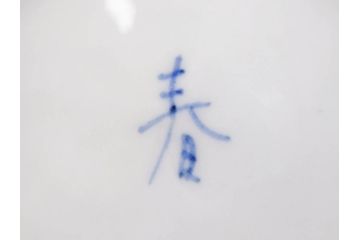 正木春蔵　九谷焼　呉須色絵　染付　穏やかなひとときを演出する急須(菊、花、植物、和食器、水注、茶道具、茶器、水指、水差、裏印)(R-079321)