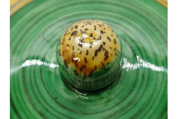 正木春蔵　九谷焼　呉須色絵　染付　穏やかなひとときを演出する急須(菊、花、植物、和食器、水注、茶道具、茶器、水指、水差、裏印)(R-079321)