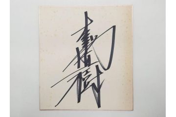 色紙サイン・イラストなど27点セット(手塚理美、にしきのあきら、関本四十四、高橋一三、山本リンダ、村上幸子、森田健作、大場久美子、松原智恵子、高田みづえ、はらたいら、仮面ライダー、ガッチャマン、樫の木モック、みなしごハッチ)(R-079453)