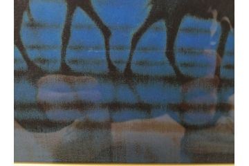 複製画　平山郁夫　「月光流砂行」　限定1200部　112/1200　絵画(日本画、岩絵具方式、複製、砂漠、ラクダ、夜、風景、シルクロード、隊商、キャラバン、額装、落款印、黄袋付き、共箱付き)(R-079456)