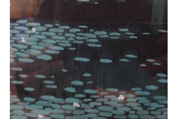 真作　平成5年　平山郁夫　「浄瑠璃寺」　限定・国内版 250部/国際版 100部　150/250　P8(8号)　木版画(アダチ版画、絵画、風景、池、彫師 新實護允、摺師 児島俊弘、額装、落款印、タトウ箱付き、外箱付き)(R-079457)