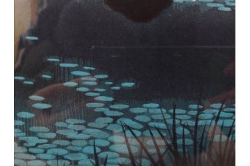 真作　平成5年　平山郁夫　「浄瑠璃寺」　限定・国内版 250部/国際版 100部　150/250　P8(8号)　木版画(アダチ版画、絵画、風景、池、彫師 新實護允、摺師 児島俊弘、額装、落款印、タトウ箱付き、外箱付き)(R-079457)